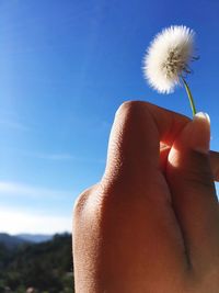 Close-up of hand holding flower against sky