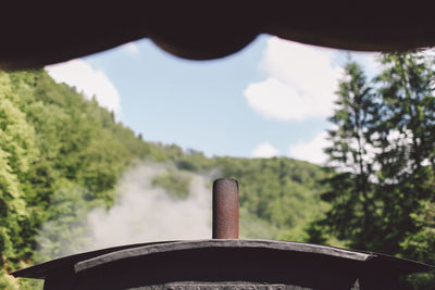 Cropped image of train by trees against sky