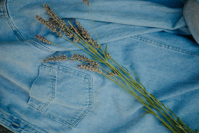 High angle view of crops against blue background