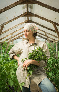 Young woman looking away while standing in greenhouse