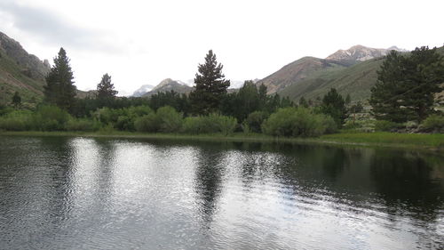 Scenic view of lake by trees against sky