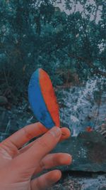 Close-up of hand holding leaf