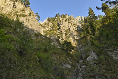 Low angle view of rocks against sky