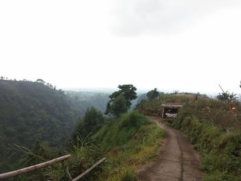 Road amidst trees and houses against sky