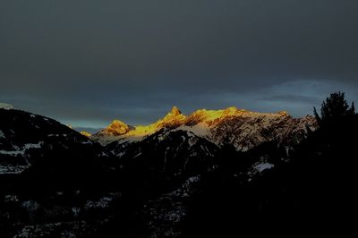 Panoramic view of illuminated trees against sky at sunset