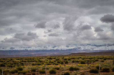 Scenic view of field against sky