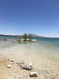 Scenic view of beach against clear blue sky