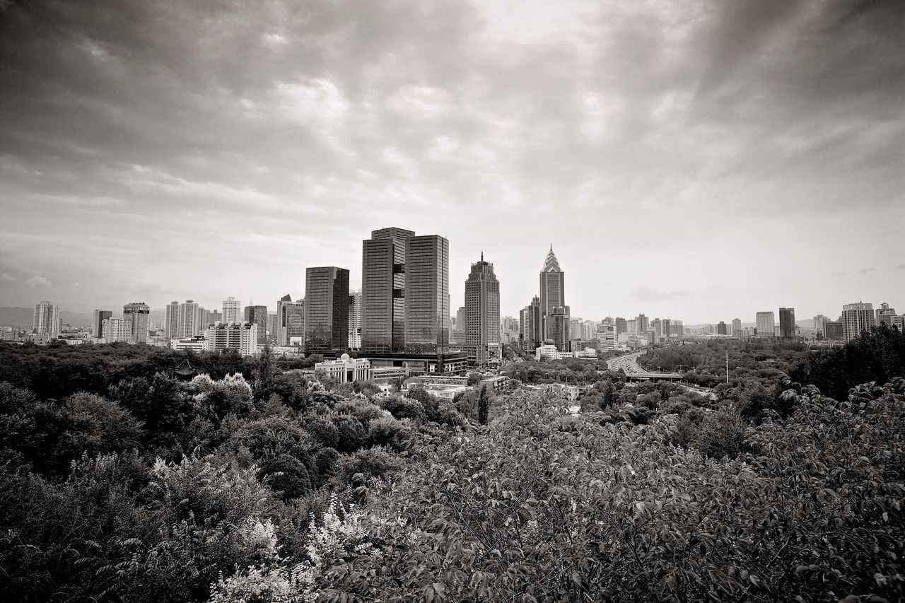 architecture, built structure, building exterior, sky, cloud - sky, city, growth, cloud, cloudy, tower, tree, plant, flower, cityscape, field, grass, no people, skyscraper, day, outdoors