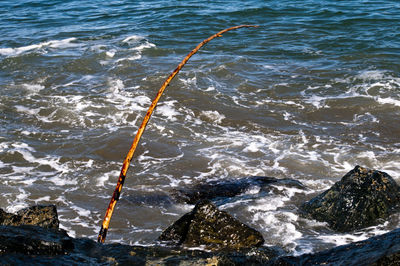 Close-up of wave on shore