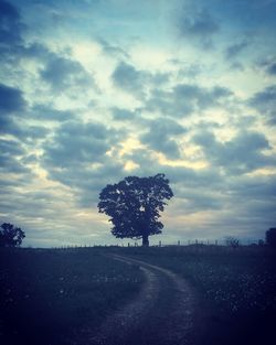 Road amidst trees on field against sky
