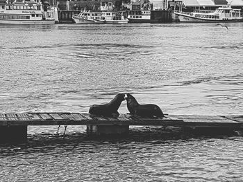 Man sitting on boat in sea