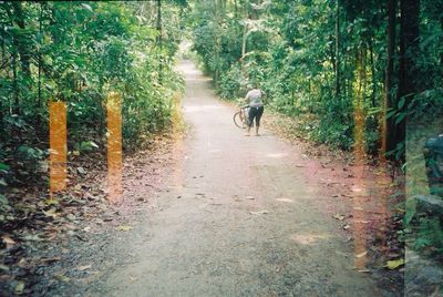 Rear view of people walking on dirt road in forest
