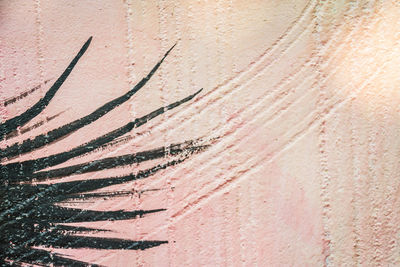 Full frame shot of weathered wall