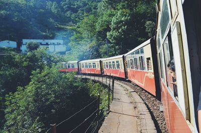 View of bridge against trees