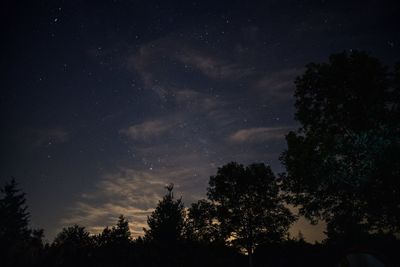 Low angle view of silhouette trees against sky at night