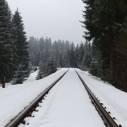 Snow covered road passing through forest