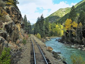 Railroad tracks amidst trees and plants against sky