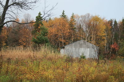 House amidst trees on grassy field