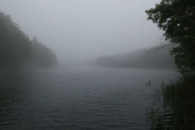 Scenic view of lake during foggy weather