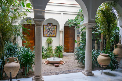 Potted plants on table by building