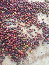 High angle view of eggs on pebbles