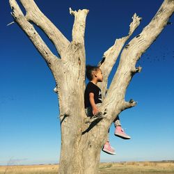 Low angle view of girl sitting on bare tree against clear blue sky