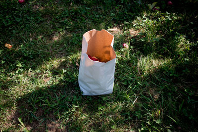 High angle view of apples in paper bag on grass