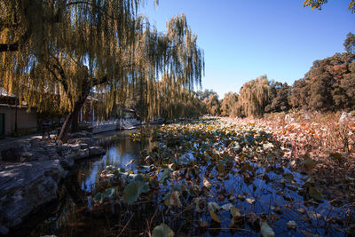 Scenic view of lake against clear sky