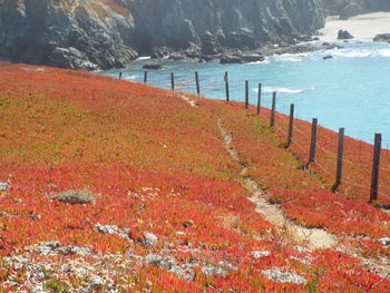 Scenic view of sea during autumn