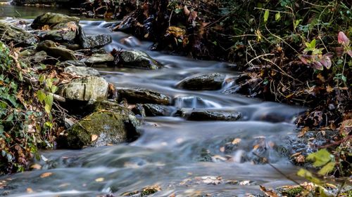 Scenic view of waterfall in forest