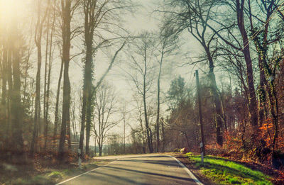 Road amidst trees in forest
