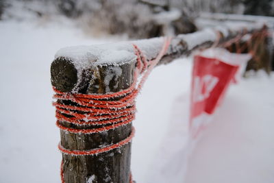 Close-up of snow