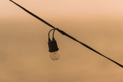 Close-up of light bulb against sky during sunset