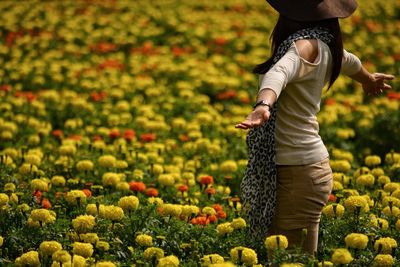Rear view of woman standing amidst marigold flowers growing on field