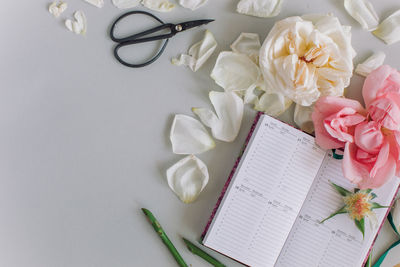 High angle view of white rose on table