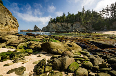 Rock formations at cape arago state park against cloudy sky