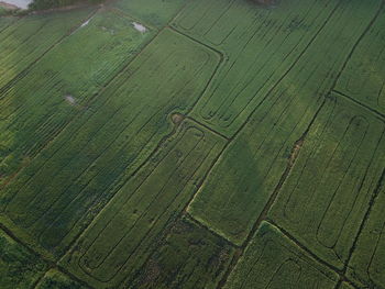 Full frame shot of farm