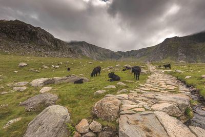 Scenic view of mountains against cloudy sky