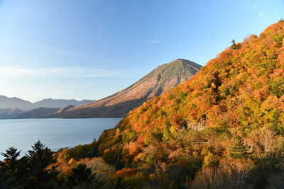 Scenic view of lake by trees against sky during autumn