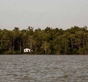 Scenic view of lake in forest against clear sky