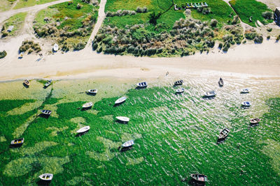 High angle view of birds on beach