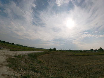 Scenic view of field against sky