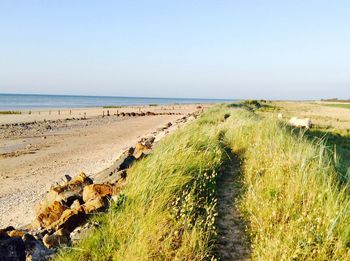 Scenic view of sea against clear sky