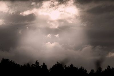 Low angle view of trees against cloudy sky