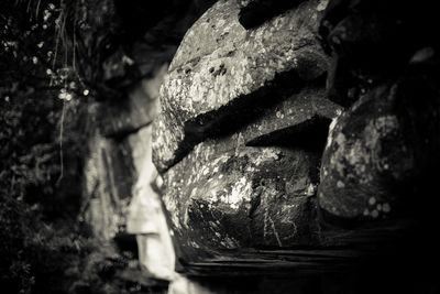 Close-up of rocks against trees