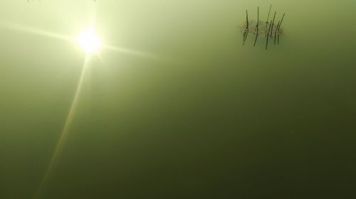 Sunlight falling on green grass against sky