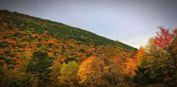 Scenic view of mountains and autumn trees against sky