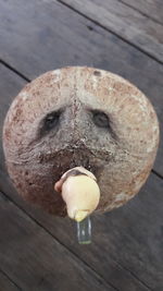 High angle view of ice cream on table