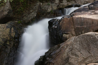 Scenic view of waterfall in forest