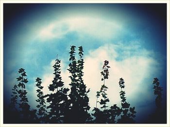 Low angle view of cloudy sky